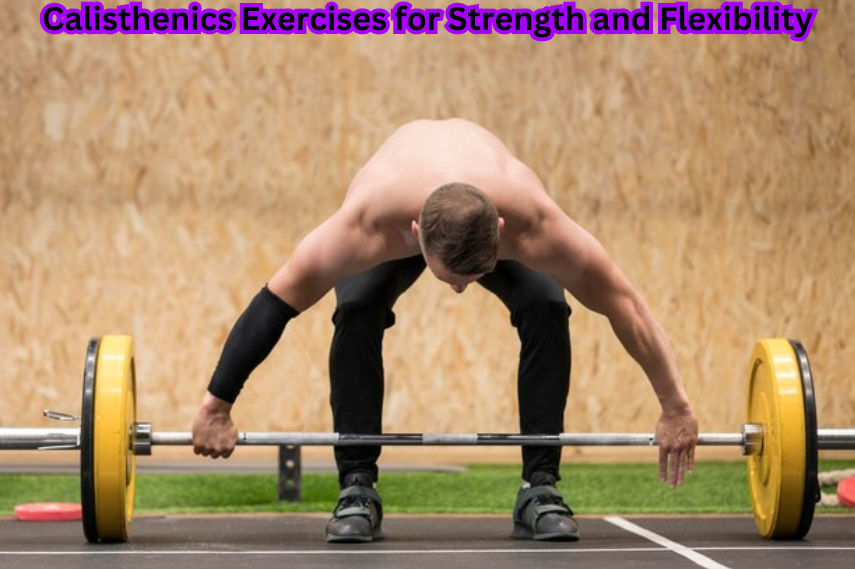 "A person mastering L-sits, showcasing the strength and flexibility achieved through Calisthenics exercises."